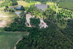 0 Pittman Rd, Cobbtown, GA 30420 - Photo 1