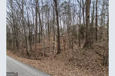 91 Remsdale Street #9, Toccoa, GA 30577 - Photo 4
