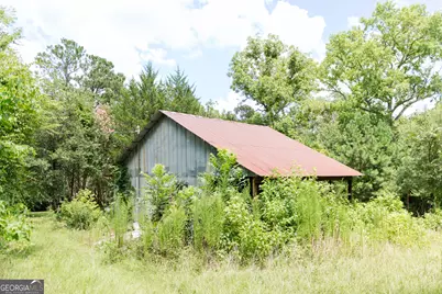 348 Americus Highway, Butler, GA 31006 - Photo 50