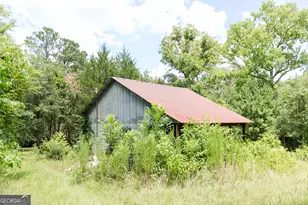 348 Americus Hwy, Butler, GA 31006 - Photo 50