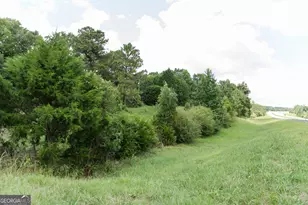 348 Americus Hwy, Butler, GA 31006 - Photo 56
