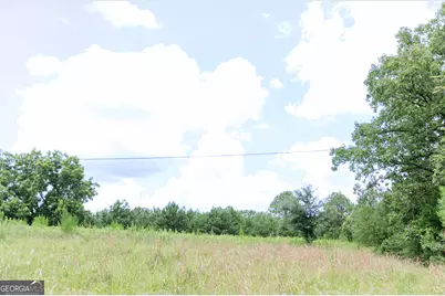 348 Americus Highway, Butler, GA 31006 - Photo 52
