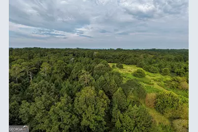 348 Americus Highway, Butler, GA 31006 - Photo 70