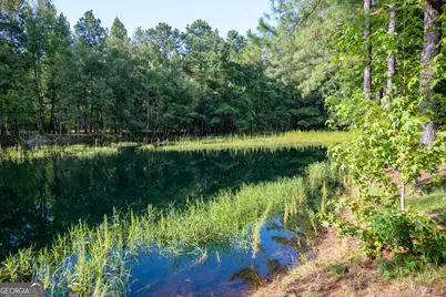 110 Bethel Village Road, Eastman, GA 31023 - Photo 98