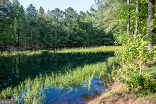 110 Bethel Village Rd, Eastman, GA 31023 - Photo 98