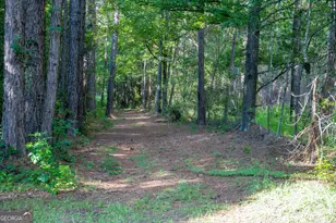 110 Bethel Village Rd, Eastman, GA 31023 - Photo 96