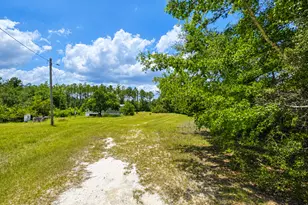 61 Drury Ln, Hortense, GA 31543 - Photo 2