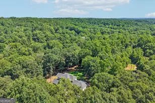 881 River Chase, Hoschton, GA 30548 - Photo 54