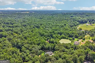881 River Chase, Hoschton, GA 30548 - Photo 52