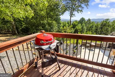 832 Scenic Mountain View Road, Blue Ridge, GA 30513 - Photo 38