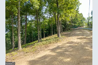 294 Adair Drive NE, Ranger, GA 30734 - Photo 8