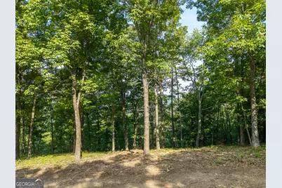 294 Adair Drive NE, Ranger, GA 30734 - Photo 14