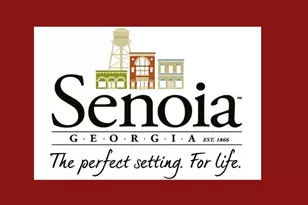 105 Loring Ln, Senoia, GA 30276 - Photo 12