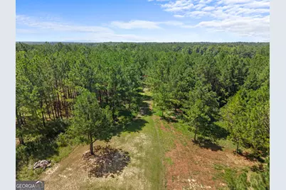 1214 Ga Highway 21 E, Millen, GA 30442 - Photo 10