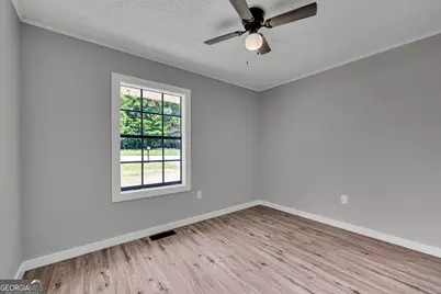 3871 Highway 17, Canon, GA 30520 - Photo 18