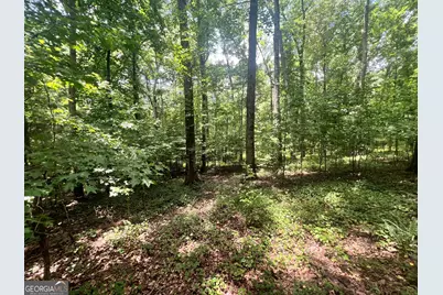 0 Seabolt Drive, Locust Grove, GA 30248 - Photo 12