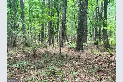 0 Seabolt Drive, Locust Grove, GA 30248 - Photo 18