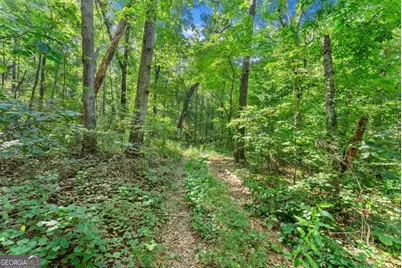 0 Prospect Road, Carnesville, GA 30521 - Photo 6