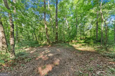 0 Prospect Road, Carnesville, GA 30521 - Photo 2