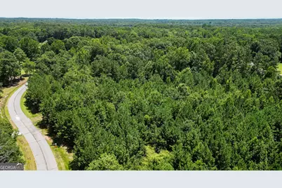 0 Overland Trail, Sharpsburg, GA 30277 - Photo 4