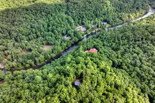 685 Cross Creek, Mineral Bluff, GA 30559 - Photo 40