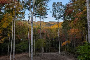 195 Moonshine Wy, Blue Ridge, GA 30513 - Photo 2