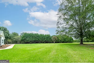 926 Perkins Road, Milner, GA 30257 - Photo 12