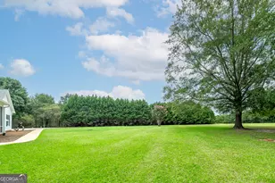 926 Perkins Rd, Milner, GA 30257 - Photo 12