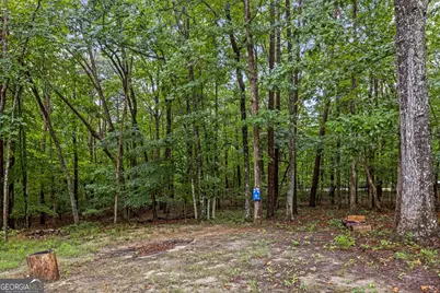 65 Eagle Bluff Road, Menlo, GA 30731 - Photo 68