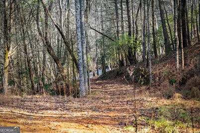 5.15 Ac Spence Road #11B, Blue Ridge, GA 30513 - Photo 12