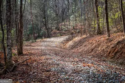 5.15 Ac Spence Road #11B, Blue Ridge, GA 30513 - Photo 10