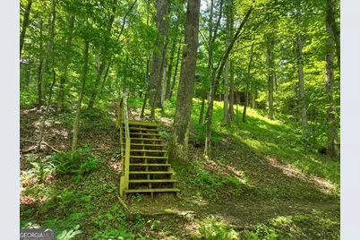 316 Pigeon Creek Road, Blue Ridge, GA 30513 - Photo 66