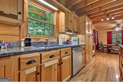 316 Pigeon Creek Road, Blue Ridge, GA 30513 - Photo 24