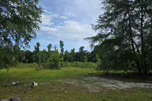 56 April Ln, Chauncey, GA 31011 - Photo 38