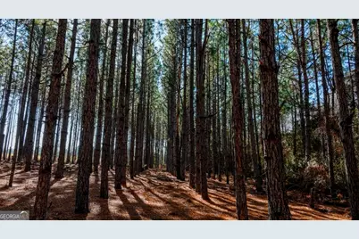0 Crooked Road #TRACT 2, Millen, GA 30442 - Photo 8