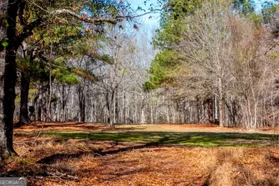 0 Crooked Road #TRACT 2, Millen, GA 30442 - Photo 12