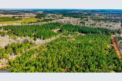 0 Crooked Road #TRACT 2, Millen, GA 30442 - Photo 2