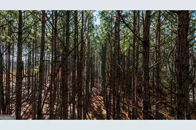 0 Crooked Road #TRACT 2, Millen, GA 30442 - Photo 28