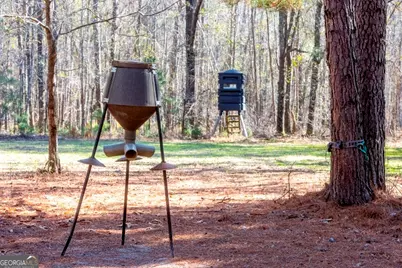 0 Crooked Road #TRACT 2, Millen, GA 30442 - Photo 14