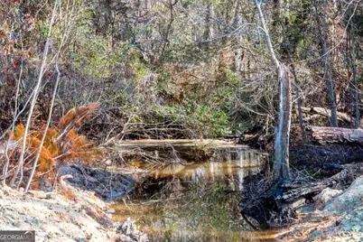 0 Crooked Road #TRACT 2, Millen, GA 30442 - Photo 10