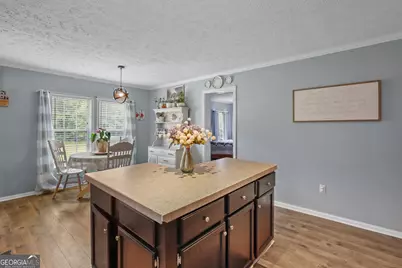 1327 R L Roberts Road, Pembroke, GA 31321 - Photo 4