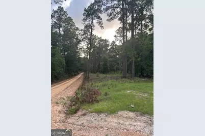 0 Edenfield Road, Twin City, GA 30471 - Photo 1