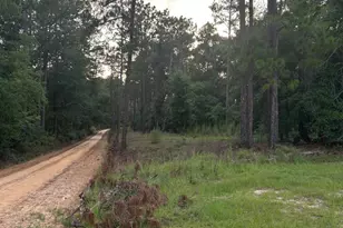 0 Edenfield Rd, Twin City, GA 30471 - Photo 1