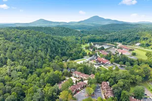 327 Brucken Strasse, Helen, GA 30545 - Photo 56