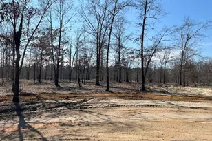 0 Holly Ridge Lot 6, Dublin, GA 31021 - Photo 1