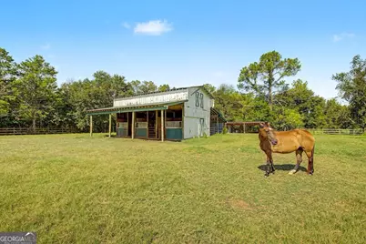 4781 Lj Road, Claxton, GA 30417 - Photo 46