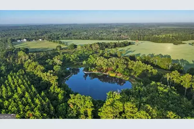 4781 Lj Road, Claxton, GA 30417 - Photo 58