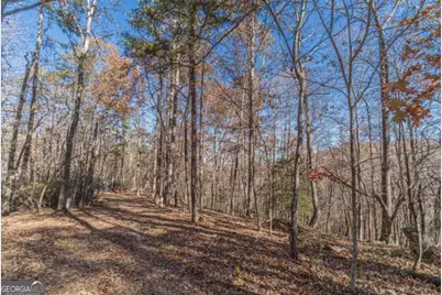Lot 6 Arborwood Drive, Dahlonega, GA 30533 - Photo 8
