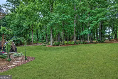 245 Ryans Court, Sharpsburg, GA 30277 - Photo 52