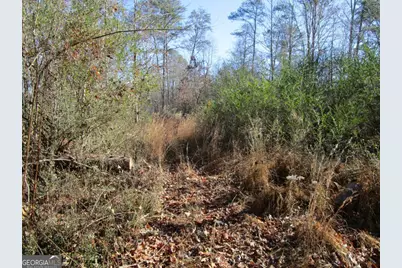 0 Stonehedge Drive, Cleveland, GA 30528 - Photo 6